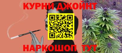 гидра Гагарин