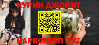 гидра Гагарин
