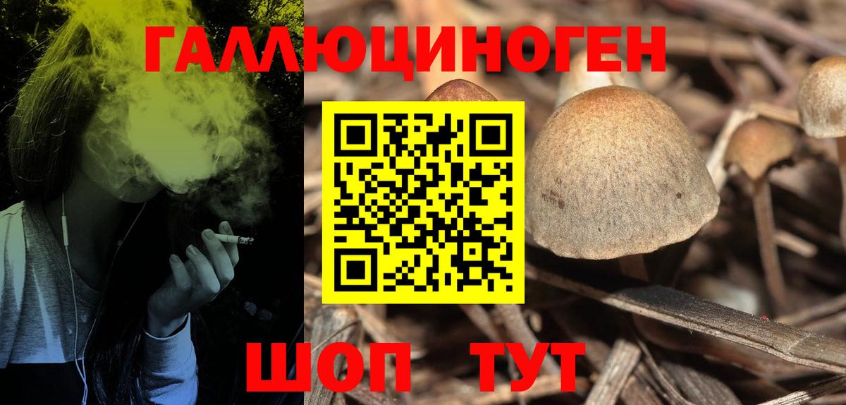 Москва  Псилоцибиновые грибы ЛСД  Вход с VPN 