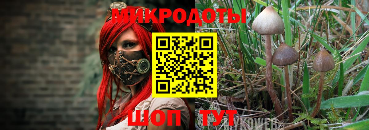 Псилоцибиновые грибы ЛСД Москва
